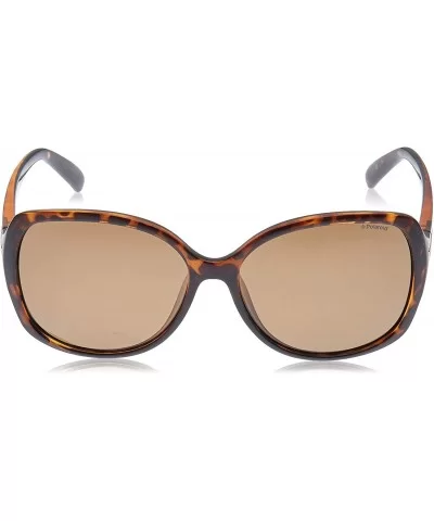 Women's PLD5011S Polarized Rectangular Sunglasses - Havana/Brown Polarized - CV128BGTBZV $89.73 Rectangular