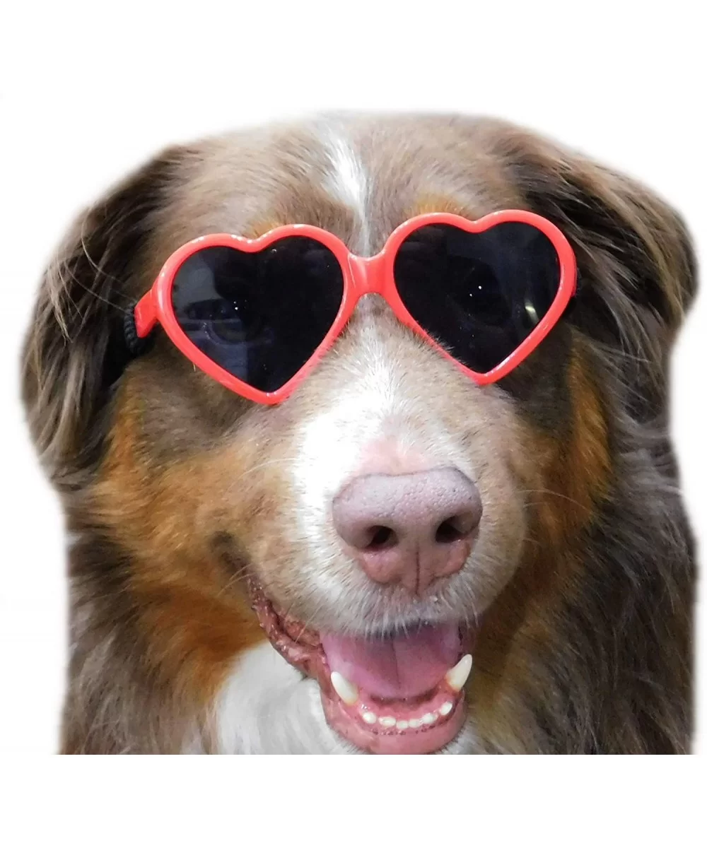 G012 Dog Heart Shape Vintage Retro Sunglasses Goggles w Retainer Strap M-L Dogs 20lb &Over (Red- UV400) - CM18S9G5Z0C $14.39 ...