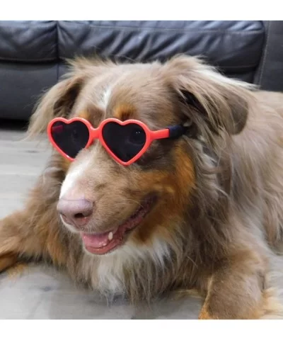 G012 Dog Heart Shape Vintage Retro Sunglasses Goggles w Retainer Strap M-L Dogs 20lb &Over (Red- UV400) - CM18S9G5Z0C $14.39 ...