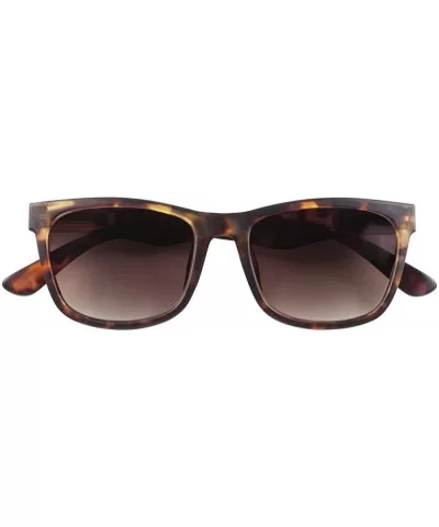 Unisex Bifocal Reading Sunglasses 0.0-3.0 - Brown - C418R84GUOH $63.30 Aviator