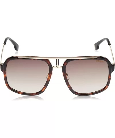 Men's Ca1004/S Pilot Sunglasses - Havana Gold/Brown Gradient - CK12NYUFAUS $95.21 Square