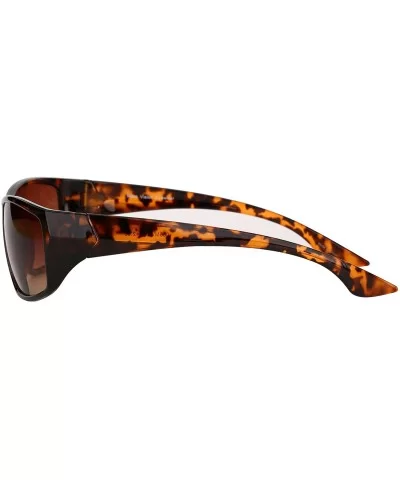 The Ensemble" 4 Pair of our Best Selling Bifocal Sunglasses for Men and Women - Tortoise - CK18NGCTZHY $39.09 Oval